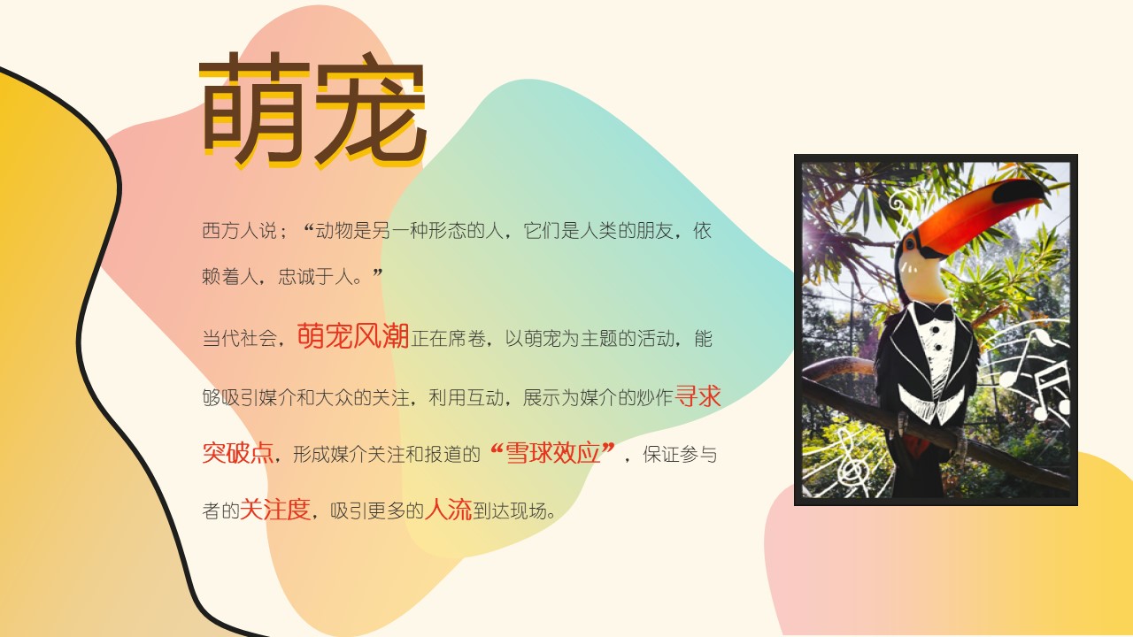 2022商业广场十月特别企划&ldquo;萌宠的告白&rdquo;活动策划方案 第2页