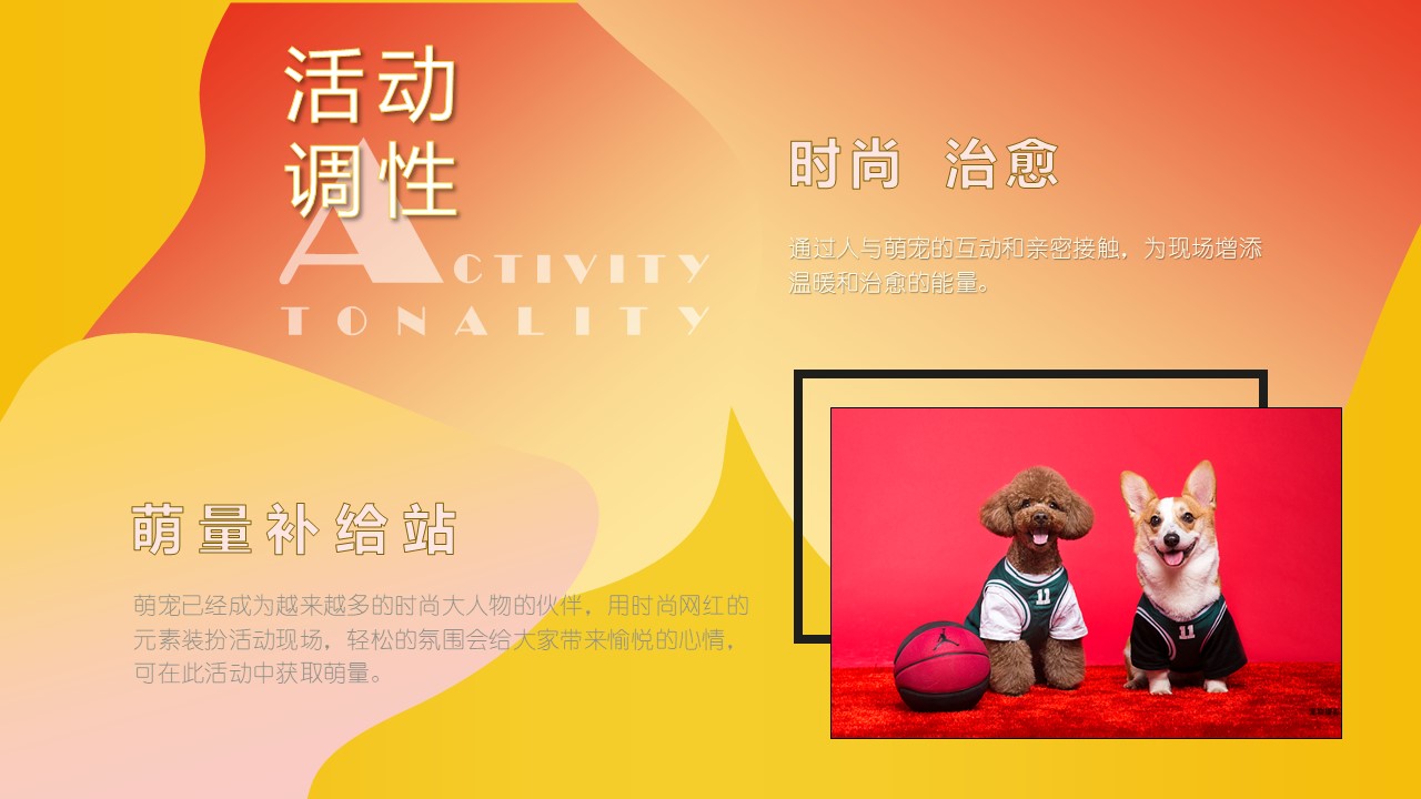 2022商业广场十月特别企划&ldquo;萌宠的告白&rdquo;活动策划方案 第3页
