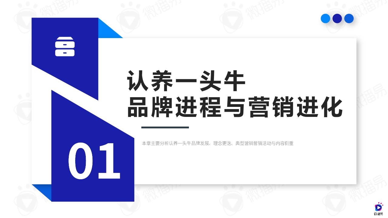 认养一头牛品牌营销与社媒投放分析 第2页
