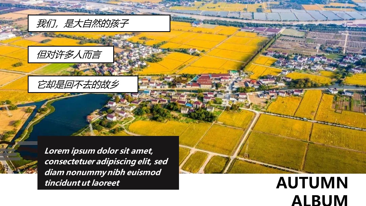 2022地产项目秋日田野丰收主题嘉年华活动策划方案【农收】 第3页