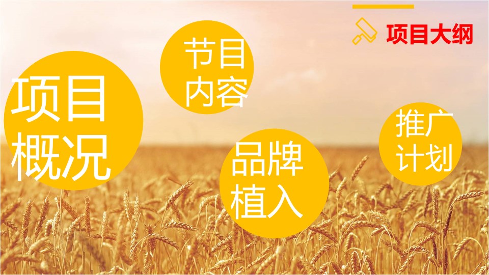 宾堡直播策划【食品】【种草带货】 第2页