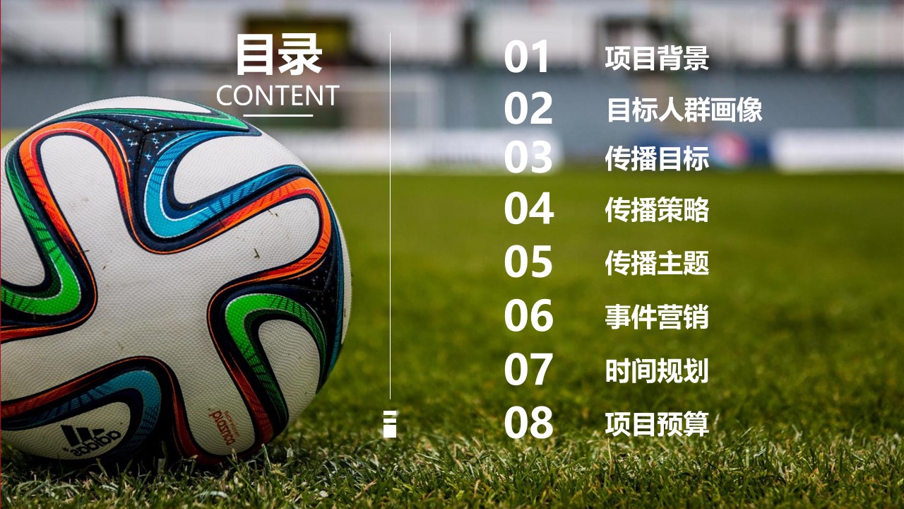 中信银行信用卡FIFA世界杯主题信用卡项目传播方案【金融】 第2页