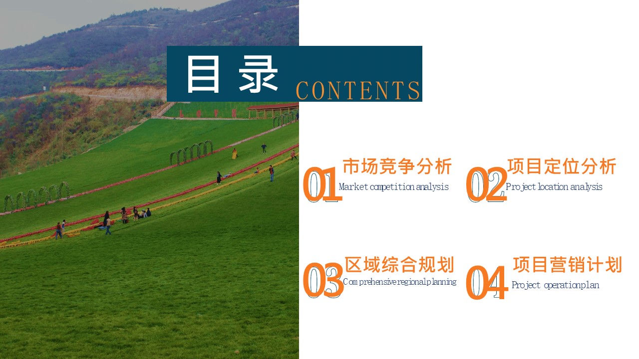 湘湖滑草岛项目运营策划方案 第2页