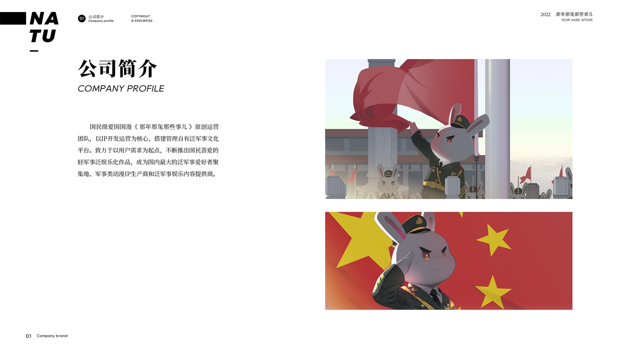 「那年那兔」品牌手册【二次元】【IP营销】【品牌定位】【品牌联名】 第3页