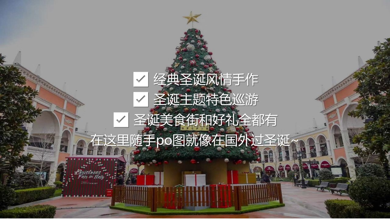 2022圣诞节平安夜主题活动策划方案【节庆策划】 第3页
