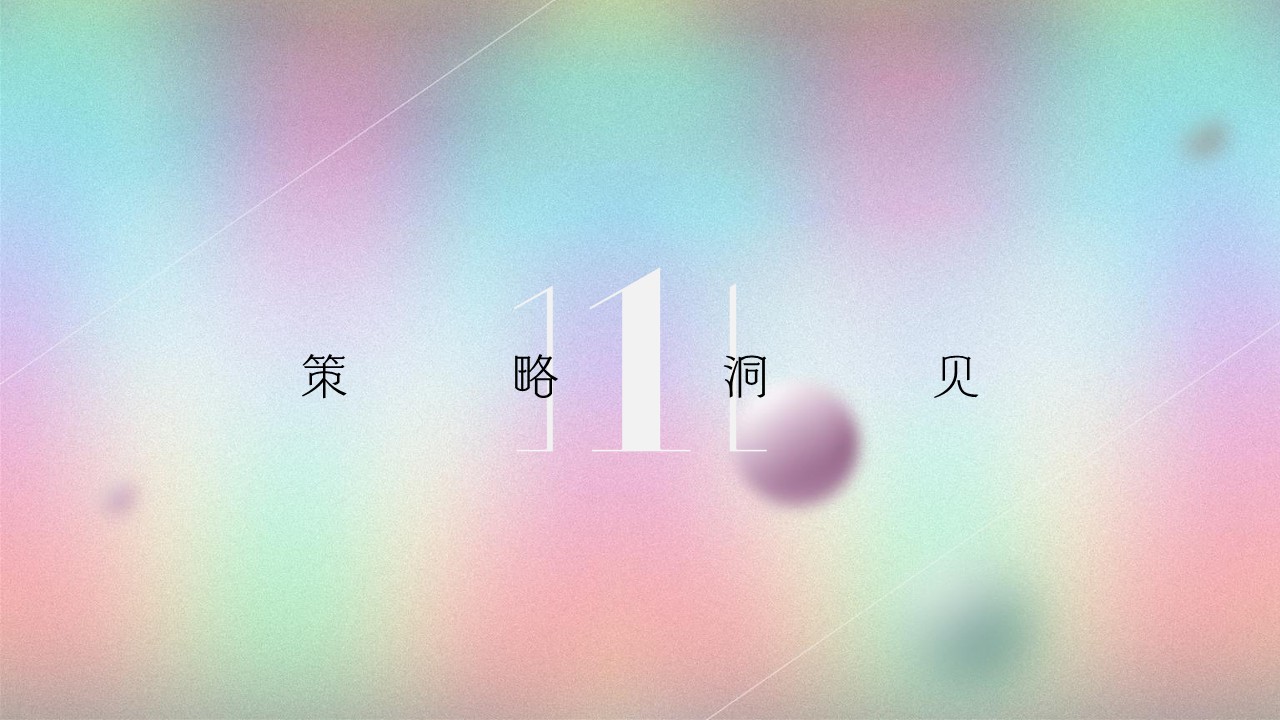 商业地产项目年度整合传播方案【房地产】【全案】 第3页