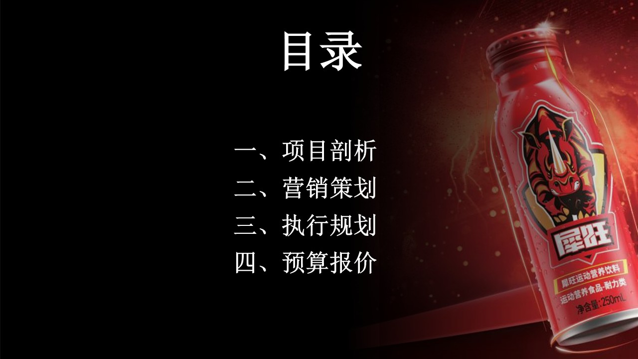 【品牌0-1必看】犀旺功能饮料小红书0-1品牌营销方案 第3页