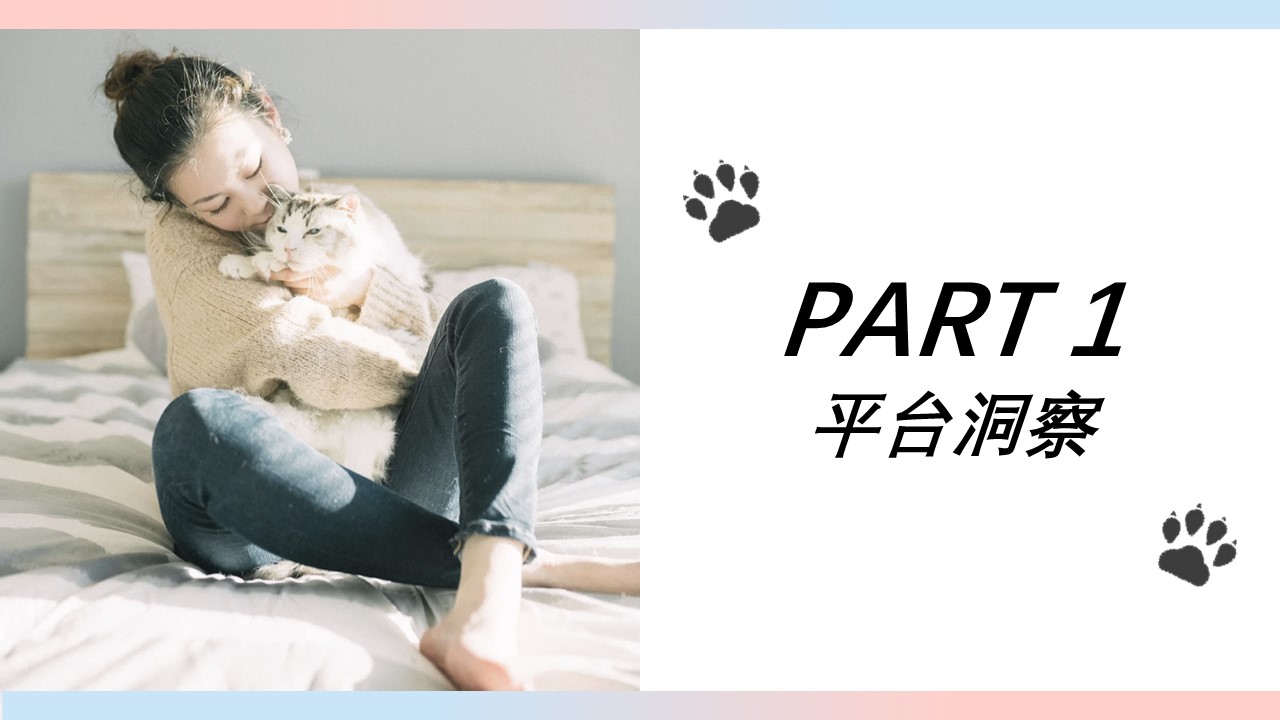 O客猫粮线上营销策划 第2页