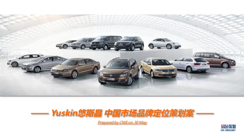 Yuskin悠斯晶中国市场品牌定位策划案 第2页