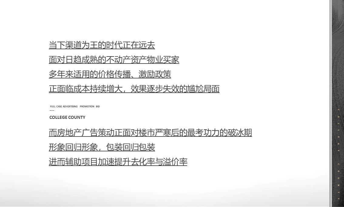 地产项目广告策动推广年度全案【房地产】 第3页