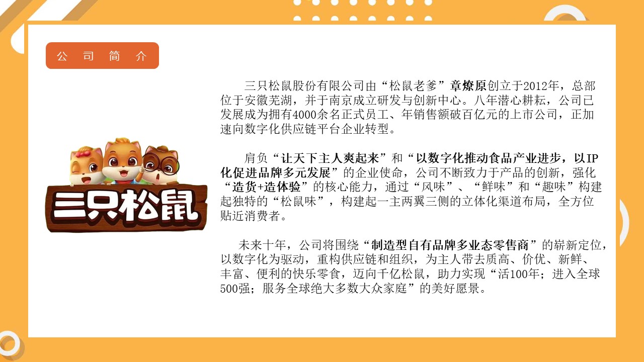 三只松鼠关系营销情况【营销方案】 第2页