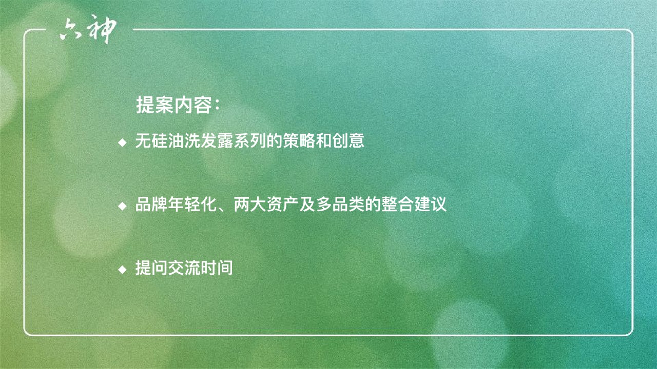 【JWT】六神洗发水年度比稿提案 第3页