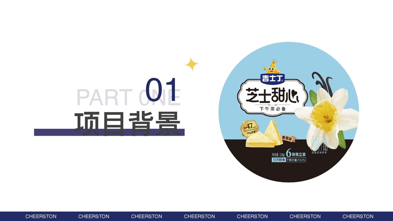 芝士品牌小红书新品种草方案【零食】【KOL营销】 第3页