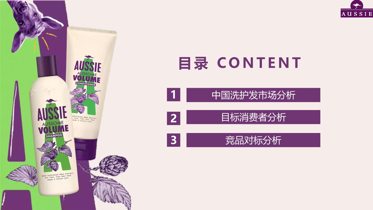 洗发水品牌市场调研+竞品分析案【快消】 第2页