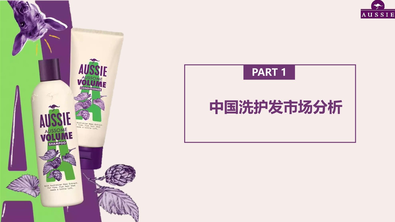 洗发水品牌市场调研+竞品分析案【快消】 第3页