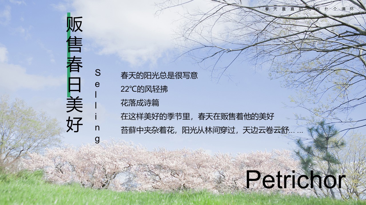 春日3月月度暖场&ldquo;贩售春日美好&rdquo;主题活动策划方案 第2页