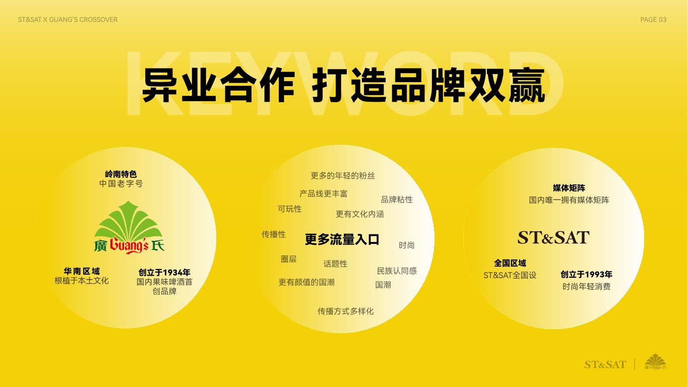 女鞋品牌x国货啤酒饮料品牌跨界合作方案【品牌联名】 第3页