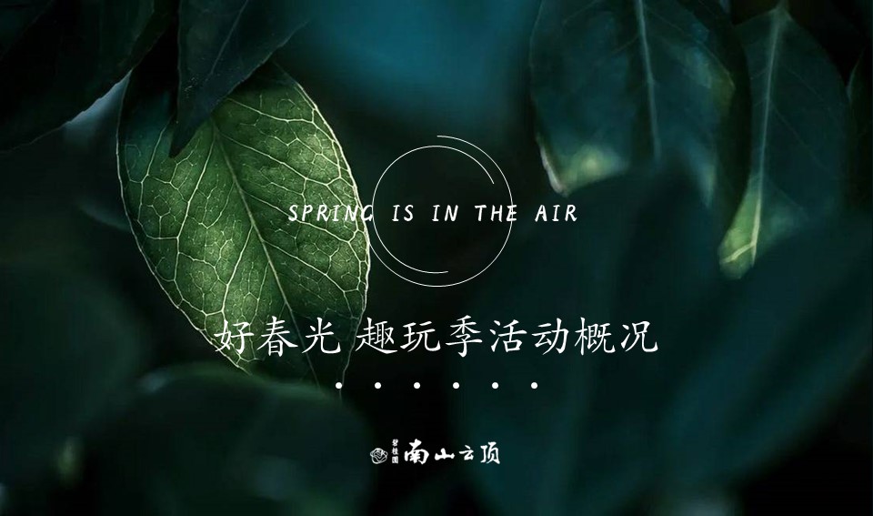 三月春日登山寻宝&ldquo;好春光 趣玩季&rdquo;主题活动策划方案 第2页