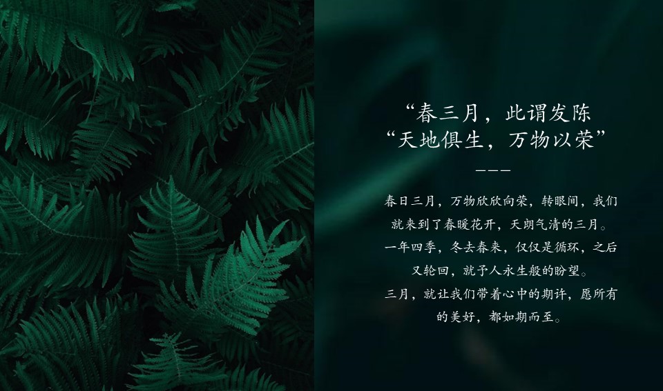 三月春日登山寻宝&ldquo;好春光 趣玩季&rdquo;主题活动策划方案 第3页