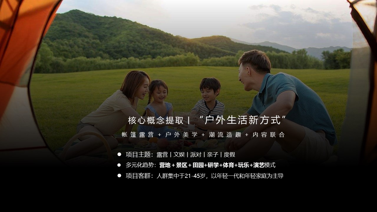 湿地露营地文旅项目年度策划方案【营地】【旅游】 第2页