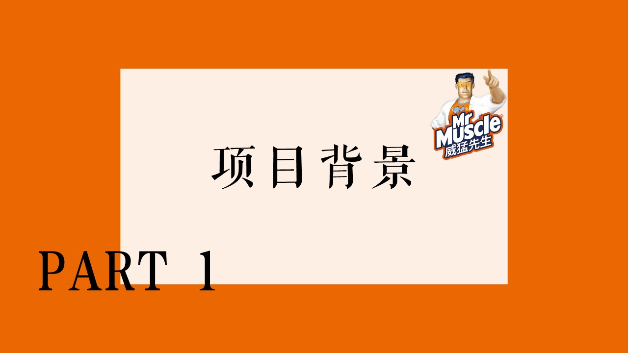 家清品牌威猛先生小红书投放结案报告【种草营销】 第3页