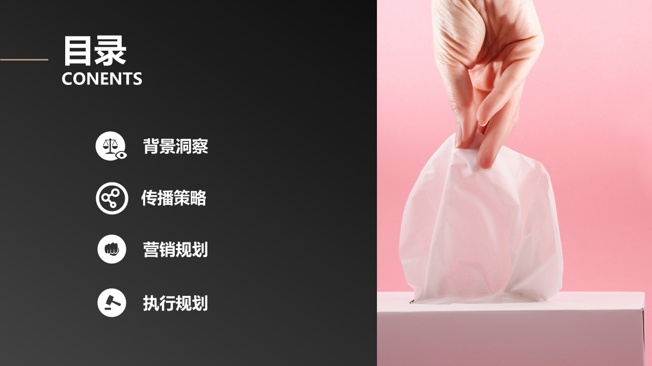 纸巾品牌洁柔2023线上整合营销方案 第3页