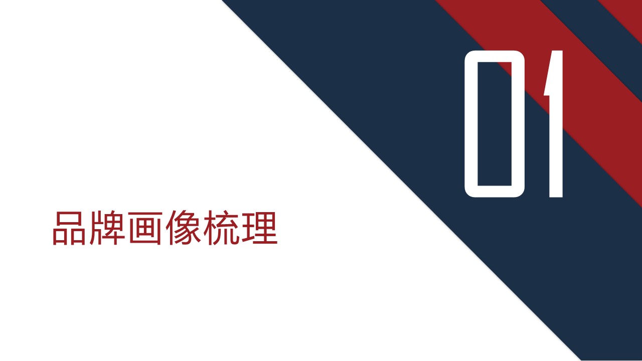 以岭药业Q2全网传播规划方案 第3页