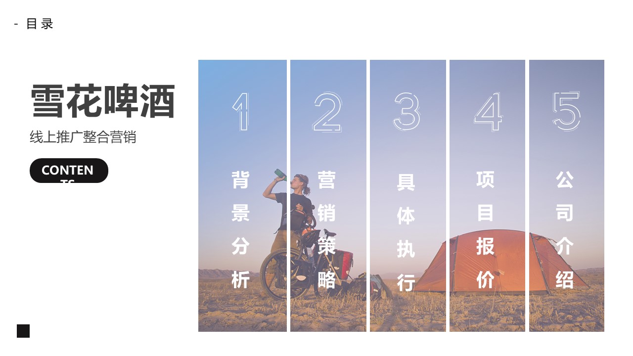 雪花啤酒品牌线上推广品牌传播整合营销方案 第3页