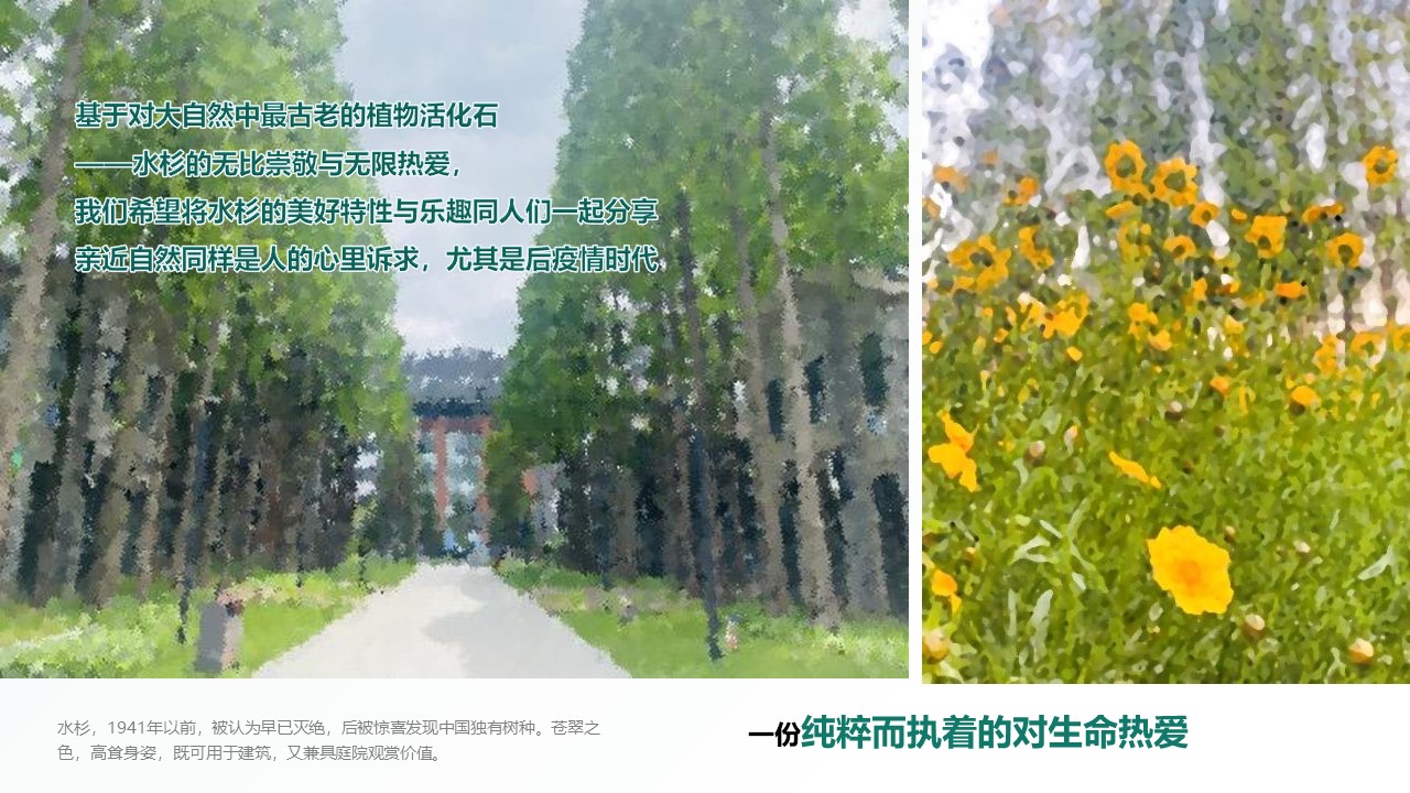 端午主题户外轰趴汇 当&ldquo;树&rdquo;玉到&ldquo;艾&rdquo; 主题活动策划方案【端午节】 第3页