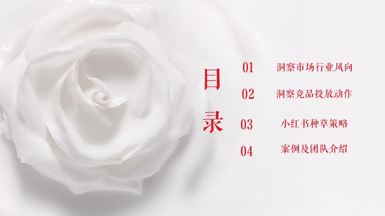 手膜产品小红书种草执行方案【美妆护肤】 第2页