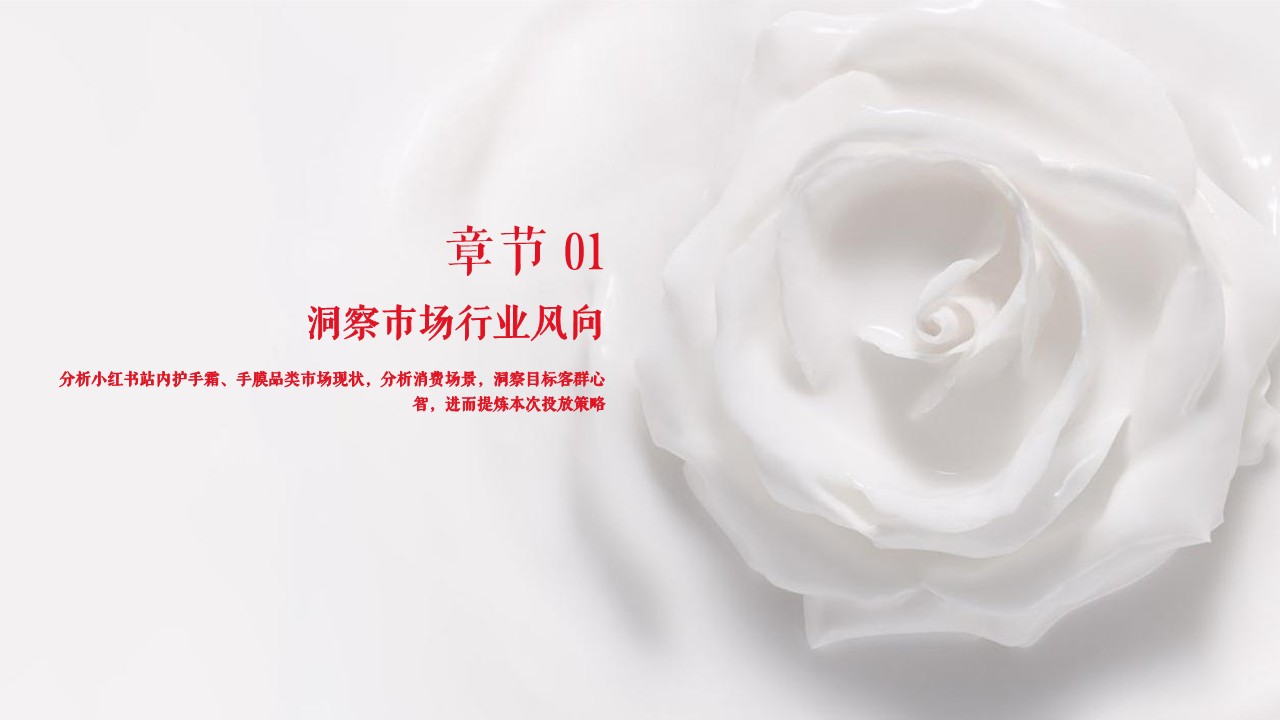 手膜产品小红书种草执行方案【美妆护肤】 第3页