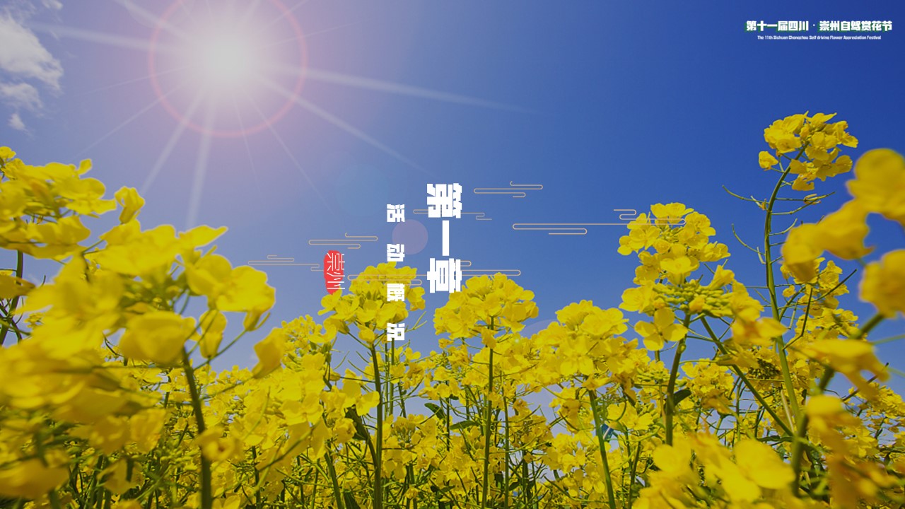 2023城市自驾赏花节&ldquo;入画红桥&middot;重逢自然&rdquo;主题活动策划方案【文旅】【旅游】【自驾游】 第3页