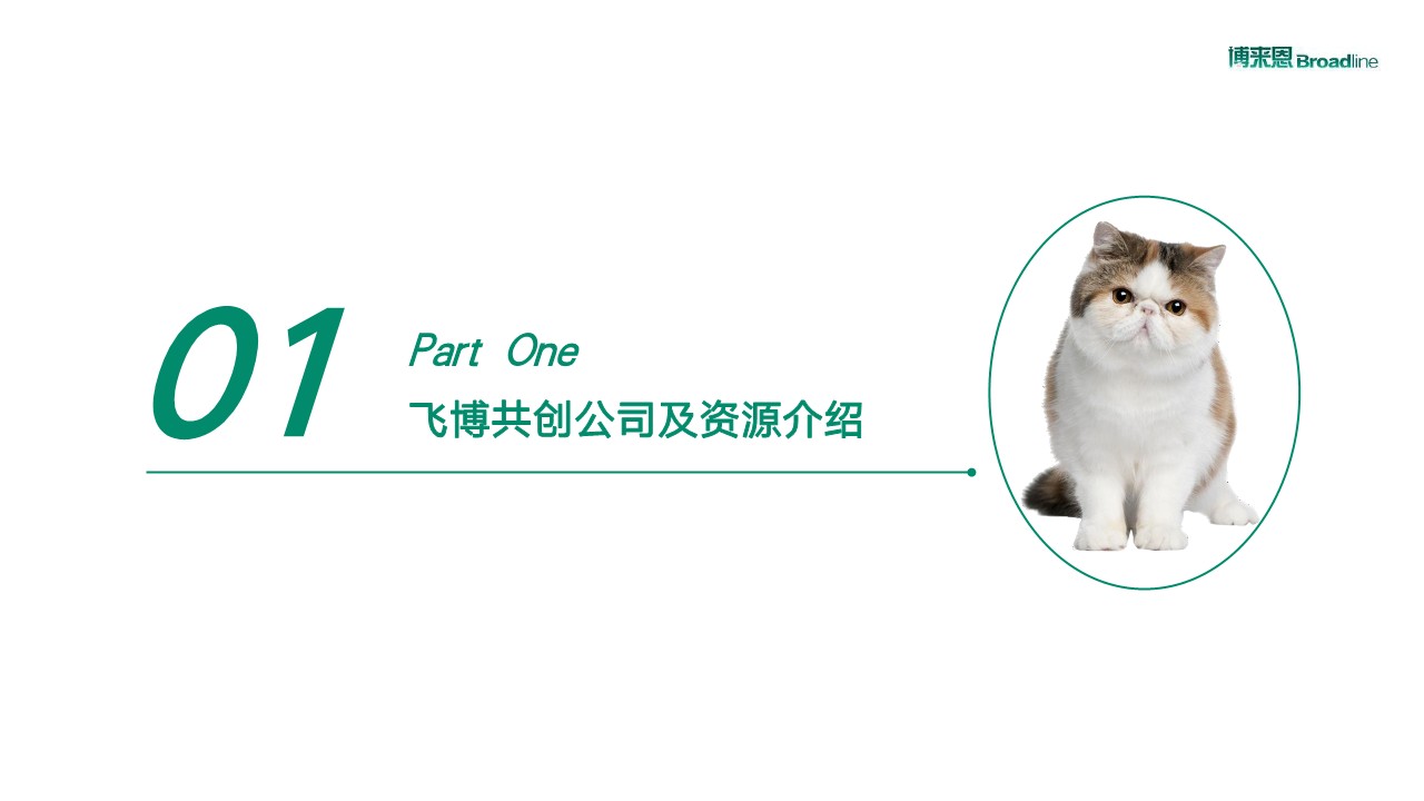 宠物医药品牌年度内容营销策划案【线上传播】 第3页