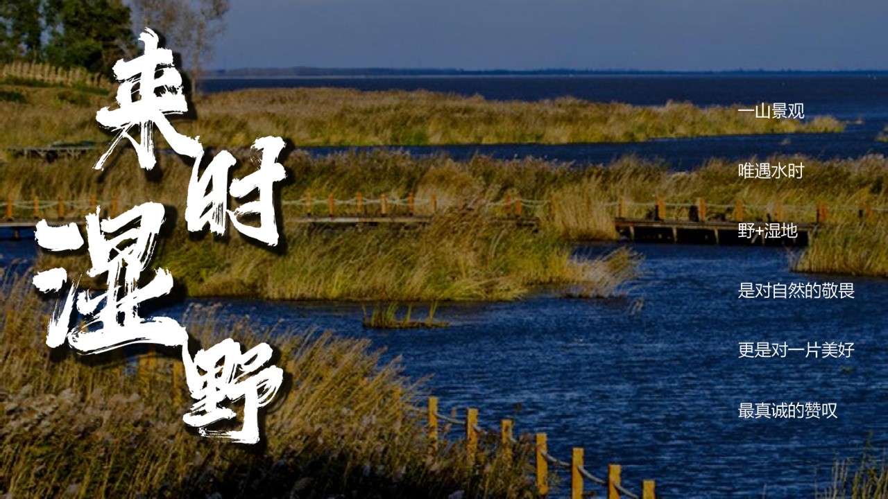 居野精致湿地露营地商业计划书 第2页