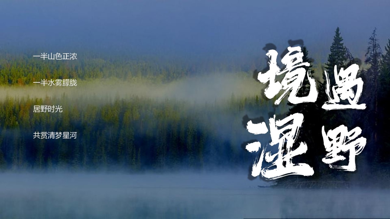 居野精致湿地露营地商业计划书 第3页