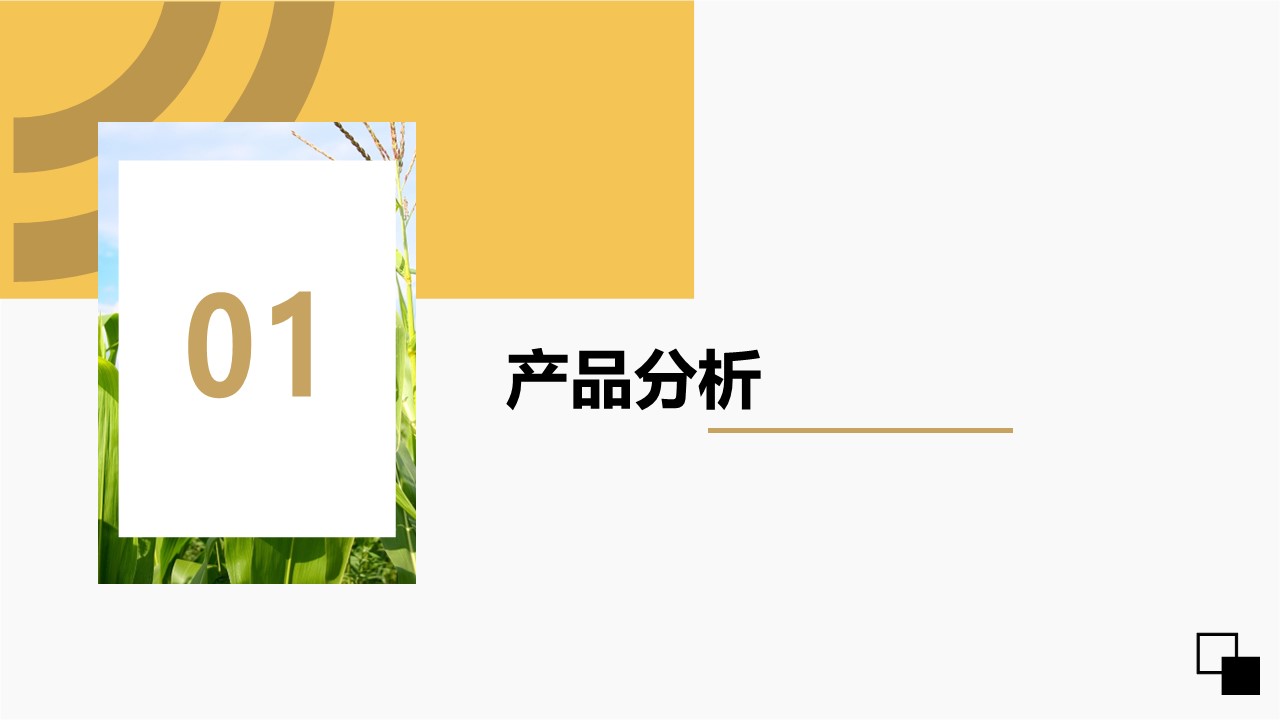 即食玉米品牌社交媒体抖音小红书推广方案 第3页