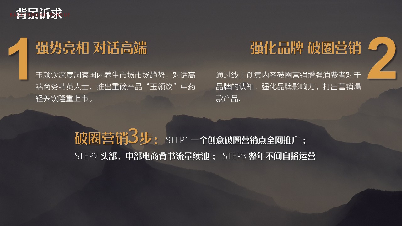 玉颜饮保健饮品牌营销推广全案 第3页