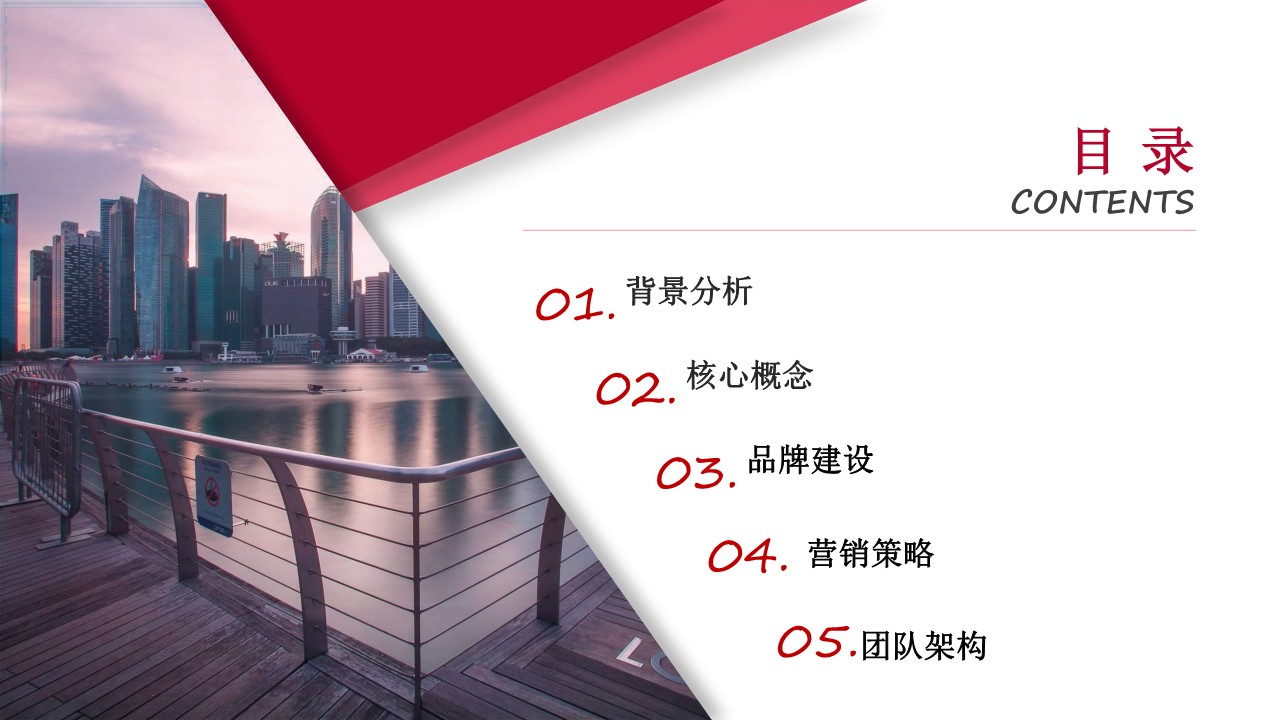 naturelife营销推广方案 第2页