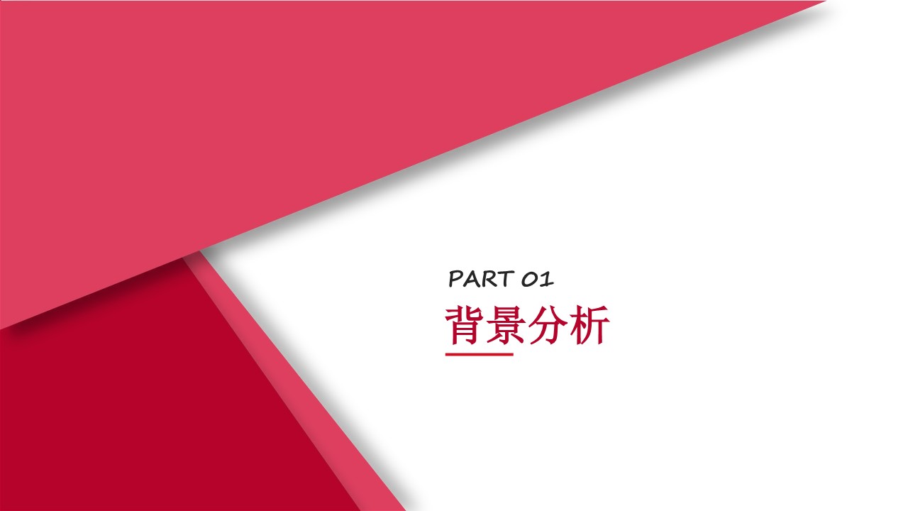 naturelife营销推广方案 第3页