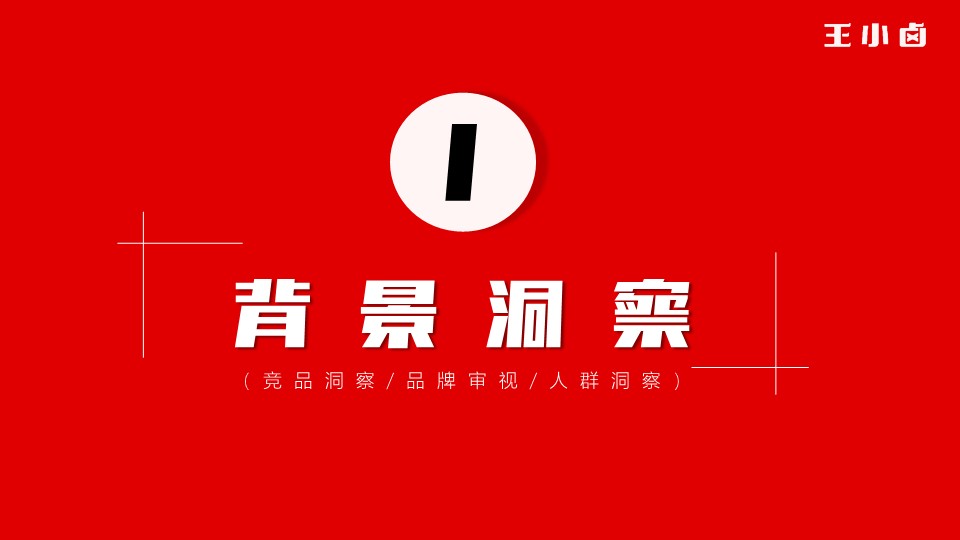 卤味肉类零食年度品牌营销策划方案 第3页