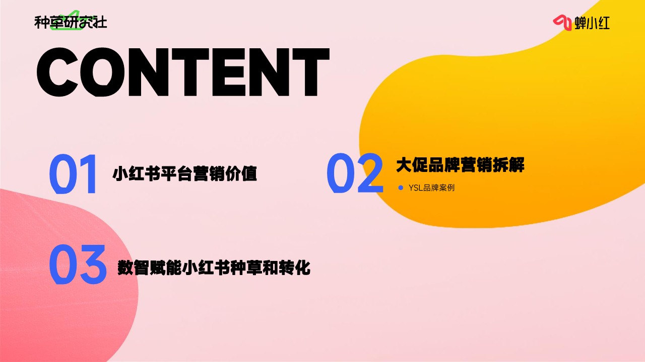 数智赋能小红书种草营销 第3页