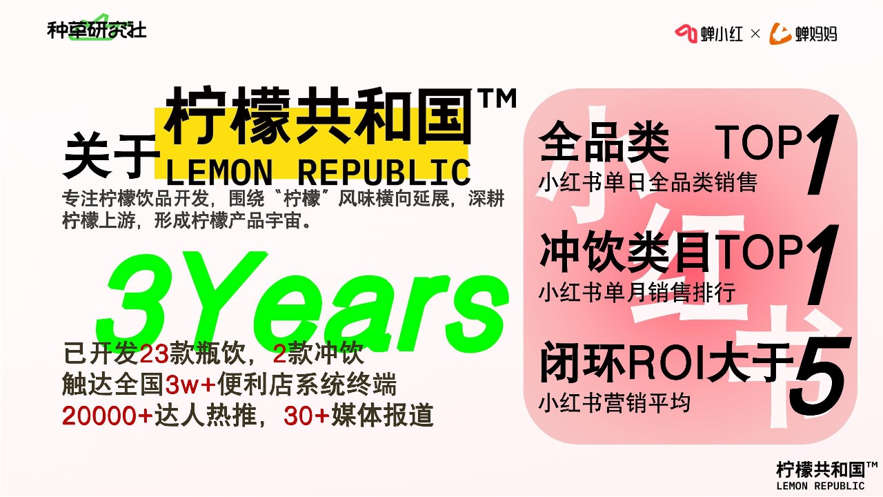 低预算撬动高ROI，新锐品牌的小红书经营正解 第3页