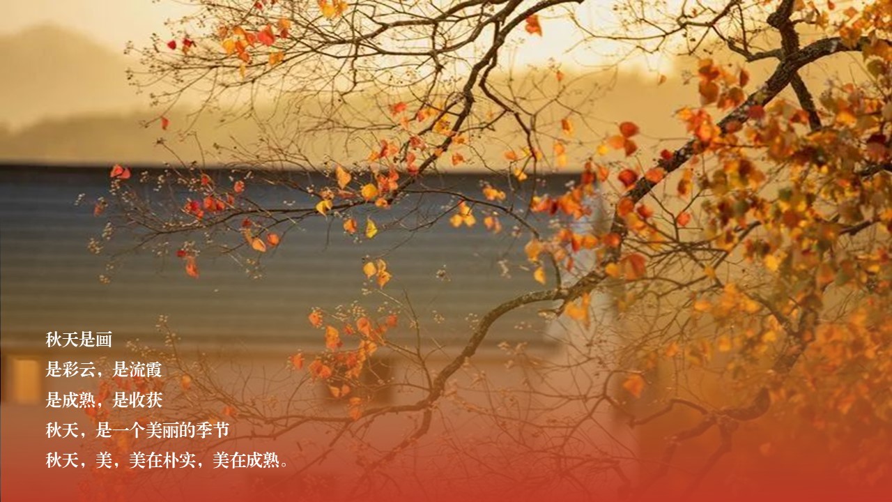 2023金秋九月十月主题中秋国庆露营DIY主题活动方案 第2页