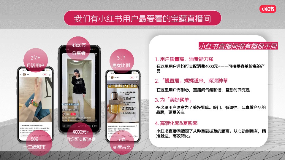 双11真会买买手店-小红书电商内循环通案 第2页