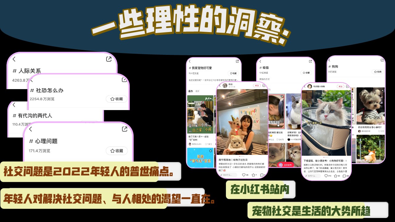 小红书《靠你了小可爱 》招商通案 第3页