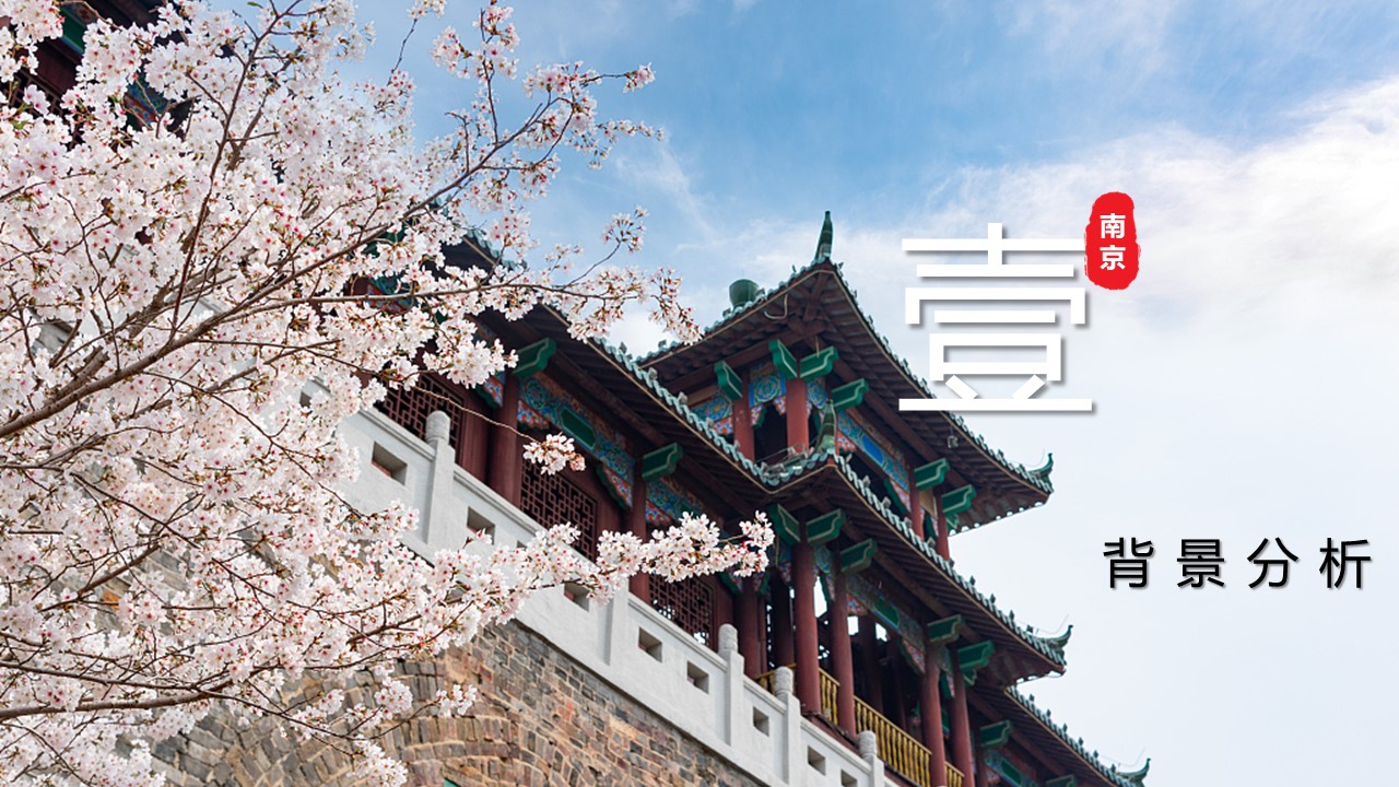 南京文旅深度游小红书营销方案 第3页