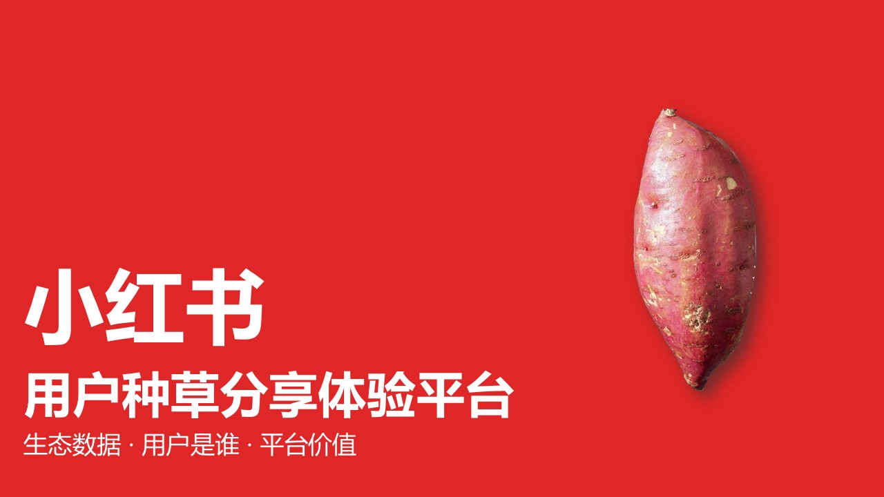 彩妆品牌小红书传播策略方案【种草传播】 第2页