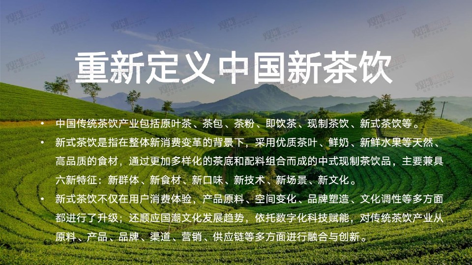 2023国潮新茶饮产业发展洞察报告-观潮新消费 第3页