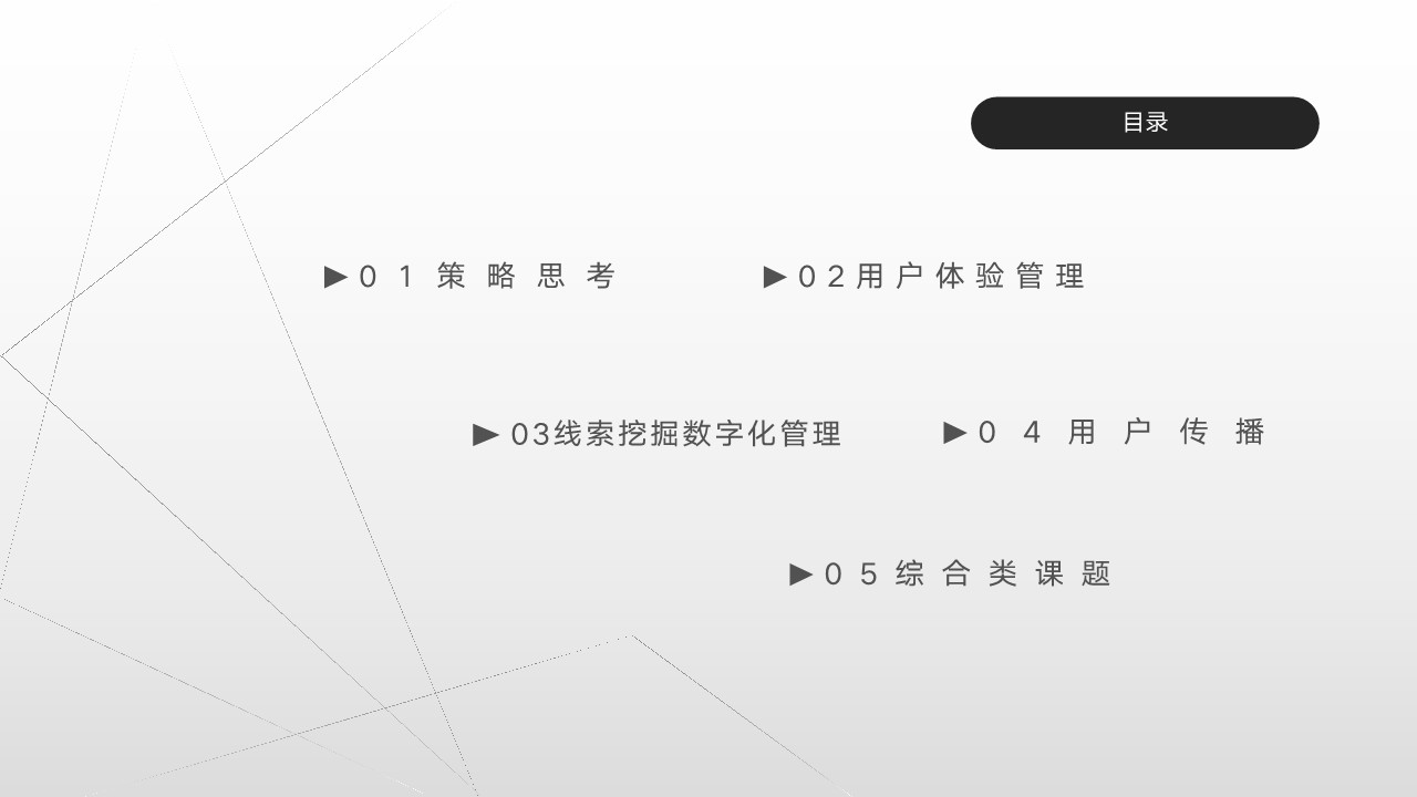2023汽车品牌用户运营项目方案 第2页