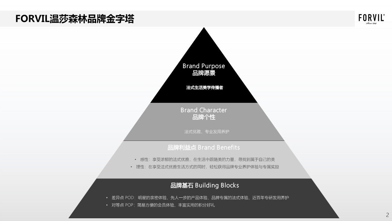 2023护发产品年度传播方案 第2页